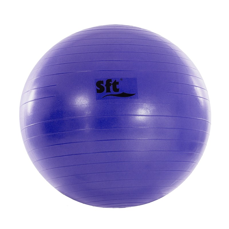 PELOTA GIGANTE SOFTEE FLEXI