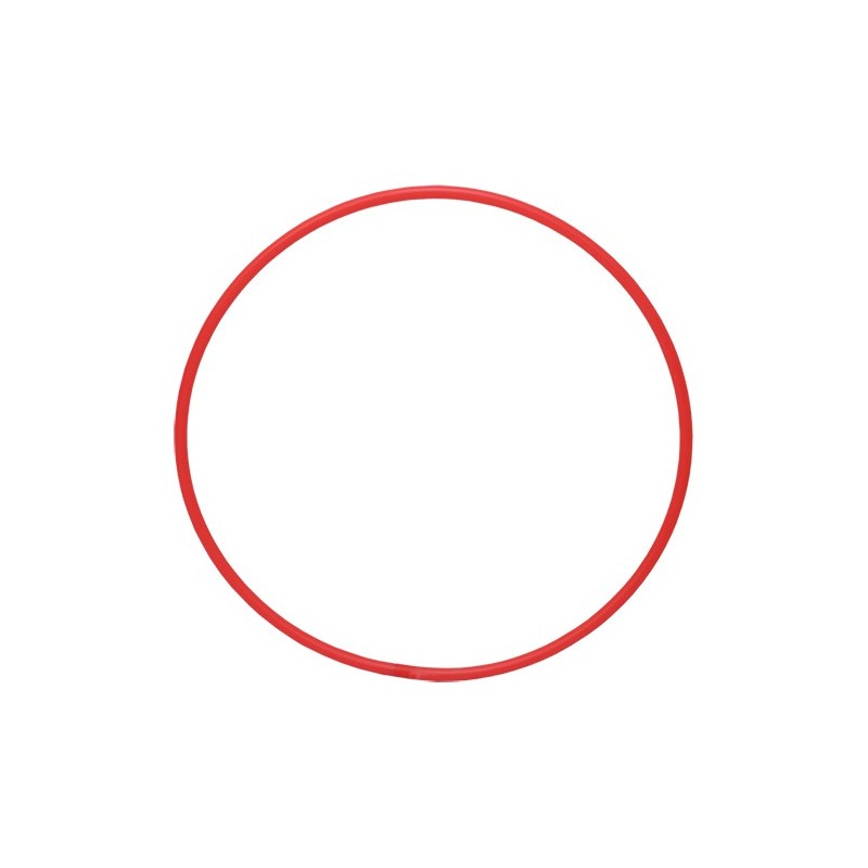 ARO DE RÍTMICA ADULTO