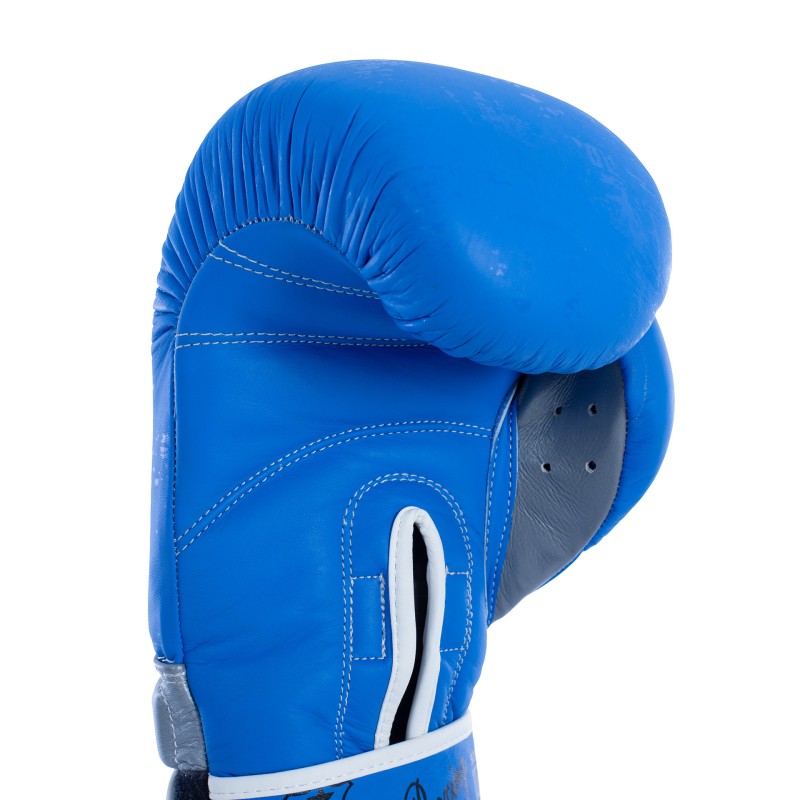 PAR DE GUANTES BOXEO FULLBOXING MASTER