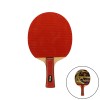 RAQUETA TENIS DE MESA SOFTEE P030