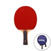 RAQUETA TENIS DE MESA SOFTEE P100