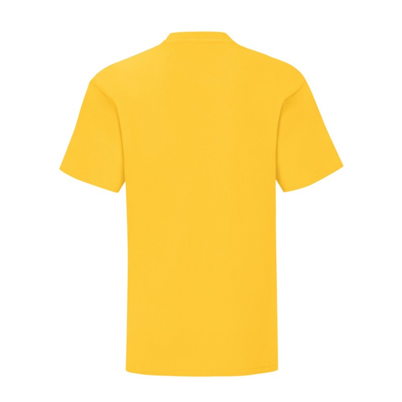 CAMISETA FRUIT OF THE LOOM KIDS ICONIC 150 T