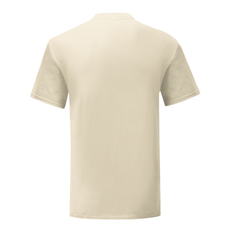 CAMISETA FRUIT OF THE LOOM ICONIC 150 T