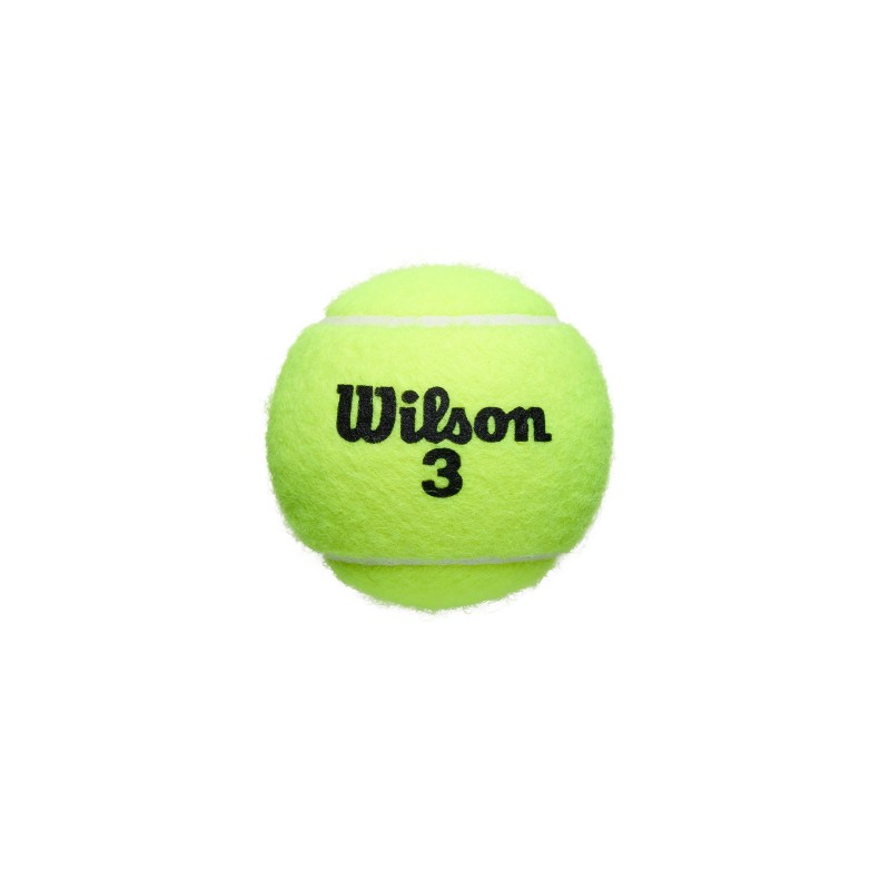 BOTE DE 3 PELOTAS TENIS WILSON ROLAND GARROS ALL