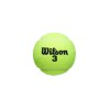 BOTE DE 3 PELOTAS TENIS WILSON ROLAND GARROS ALL