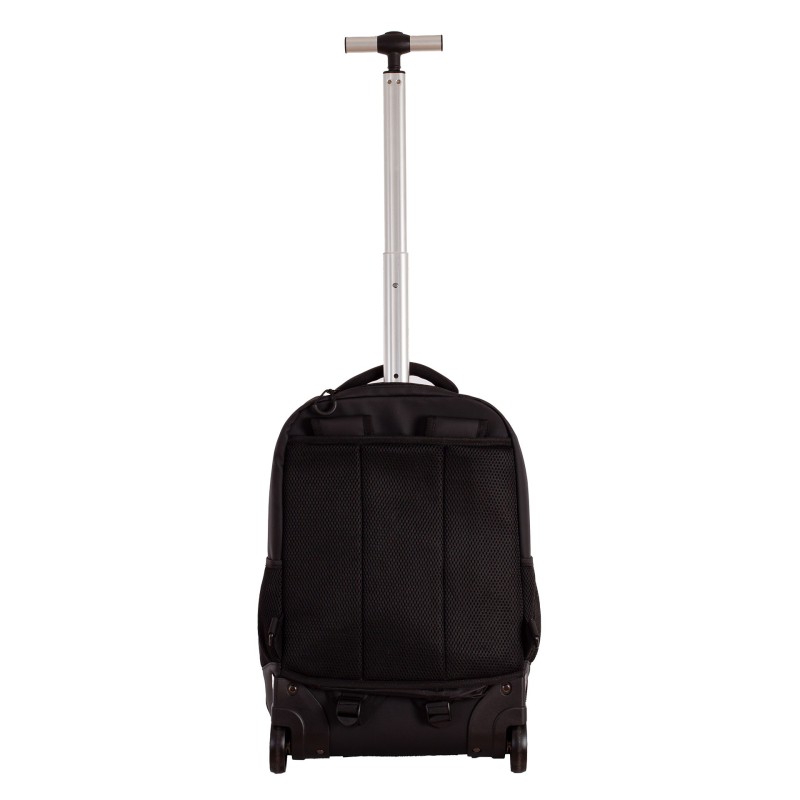 TROLLEY WILLIAM MARTIN BUSINESS