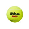 BOTE 3 PELOTAS DE PÁDEL WILSON X3