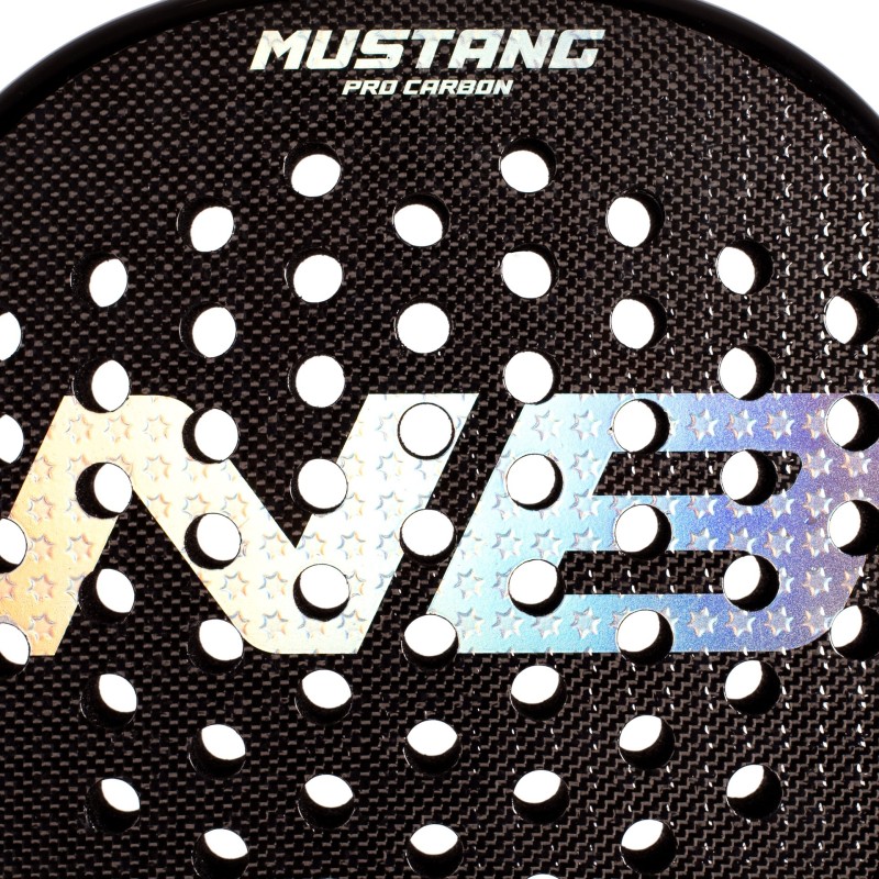PALA DE PÁDEL ENEBE MUSTANG SILVER 3K