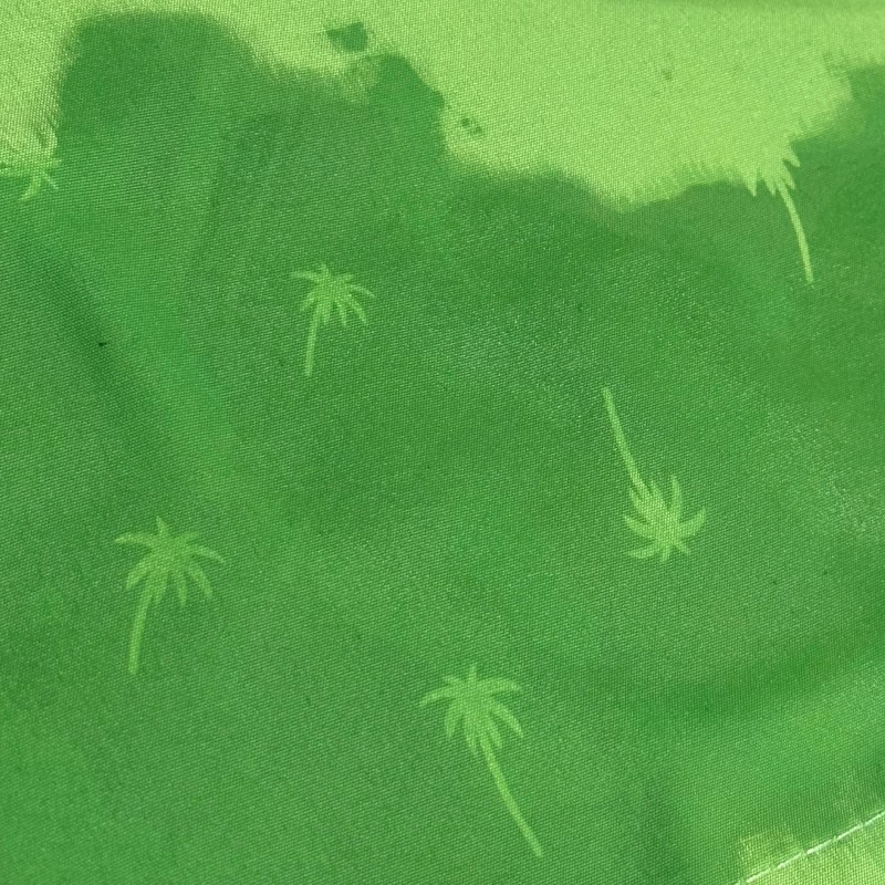 BAÑADOR SOFTEE PALM