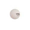 BOLSA 100 PELOTAS PP TENIS DE MESA SOFTEE