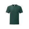 CAMISETA FRUIT OF THE LOOM ICONIC 150 T