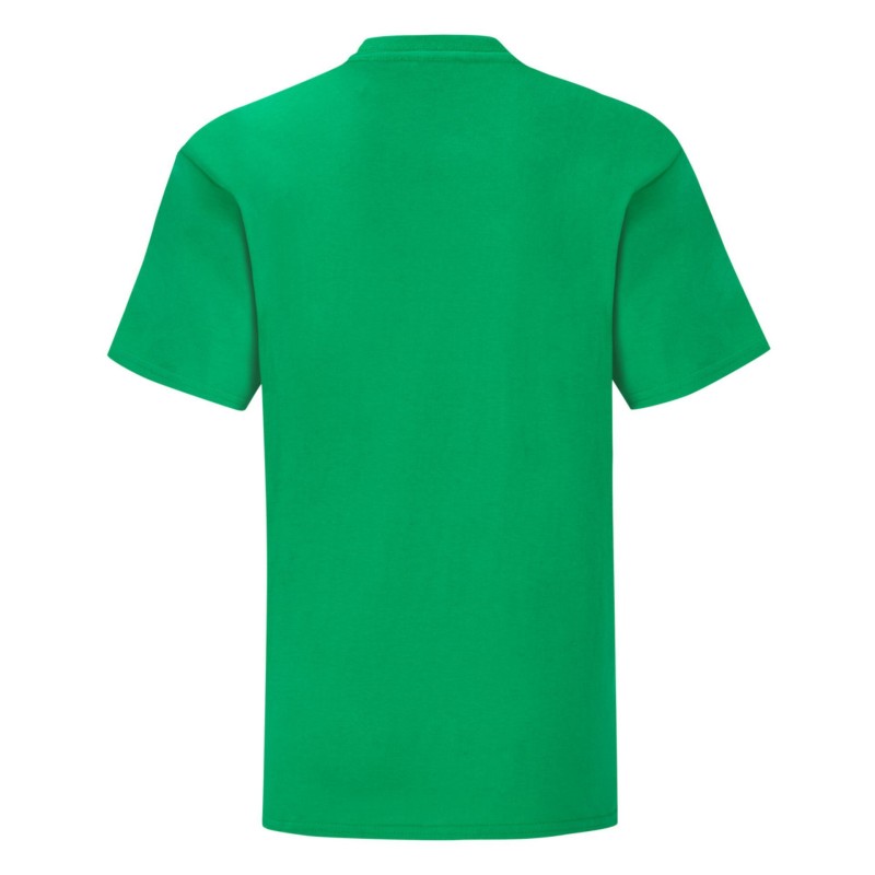 CAMISETA FRUIT OF THE LOOM KIDS ICONIC 150 T
