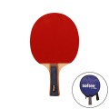 RAQUETA TENIS DE MESA SOFTEE P100
